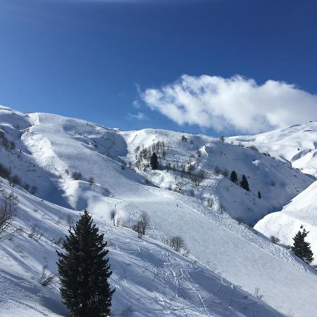 Апартаменты Les Pierres Blanches Mont Blanc Ле-Контамин-Монжуа Экстерьер фото