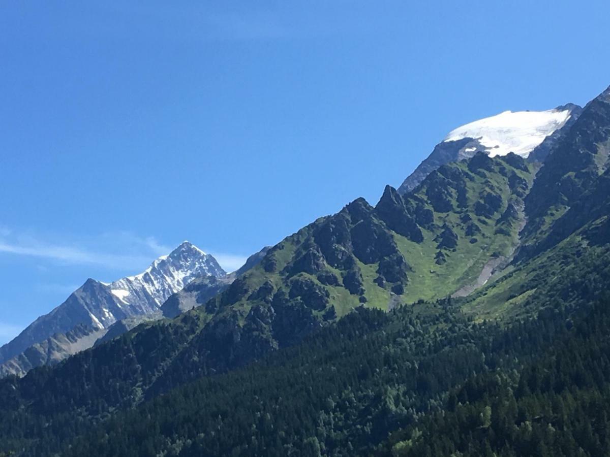 Апартаменты Les Pierres Blanches Mont Blanc Ле-Контамин-Монжуа Экстерьер фото