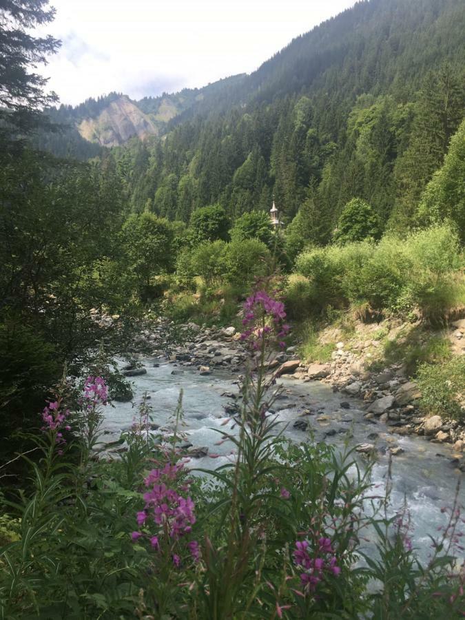 Апартаменты Les Pierres Blanches Mont Blanc Ле-Контамин-Монжуа Экстерьер фото