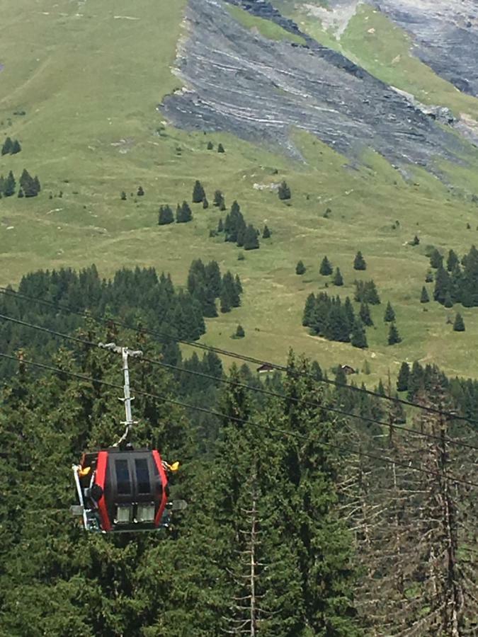 Апартаменты Les Pierres Blanches Mont Blanc Ле-Контамин-Монжуа Экстерьер фото